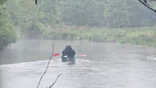 Zelfs dauwvaren in de regen