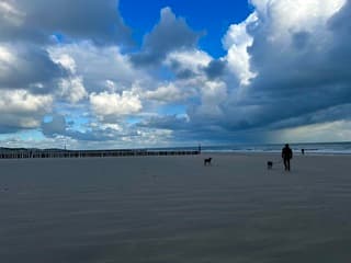 Door weer en wind