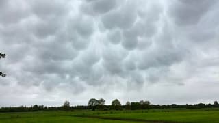 Mammatus