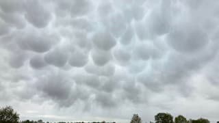 Mammatus 