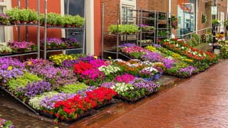Groeizame regen voor de plantjes
