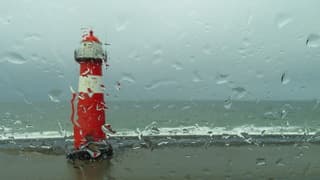 Regen