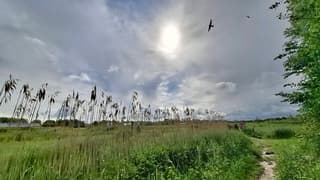 Wolkenlucht 