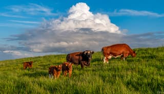 De laatste regenwolken trekken weg