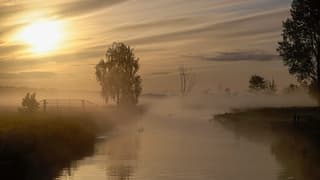 Waterig zonnetje.