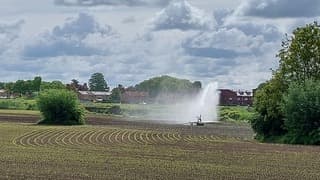 Toch nog sproeien in Buurmalsen 