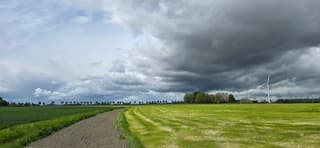 Regen?