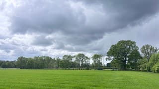 Dreigend