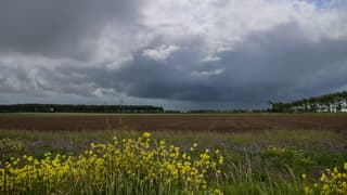 Buien en zon 