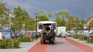 Zonnig paardentramritje met donkere lucht