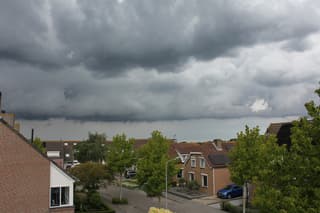 Buien opkomst