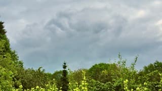 Geen lente, geen zomer, geen herfst, geen winter, "nietsjesweer"