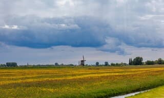 Lage Hoek in het geel