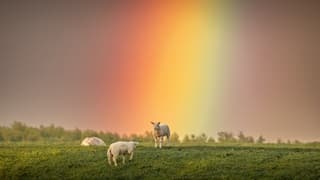 Prachtige regenboog vanavond 