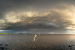 Monsterachtig Lauwersmeer