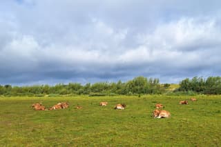 Dreigend maar droog
