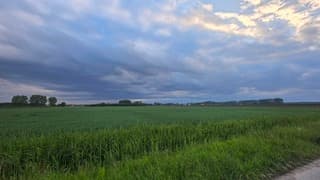blauw