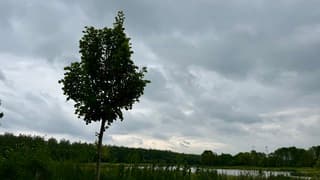 Purmerend