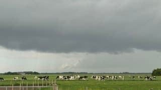 Donkere wolken 