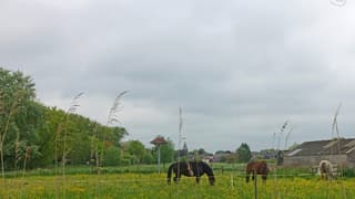 Veel bewolking.
