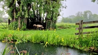 Een heerlijke plekke om te schuilen voor de regen 
