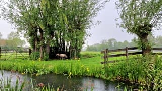 Even schuilen voor de regen 