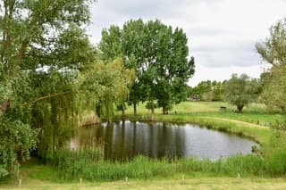 Bewolking