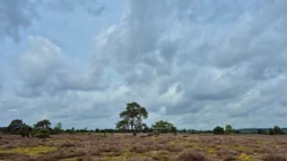 Zon en wolken 