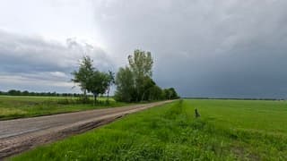 Onweersbui