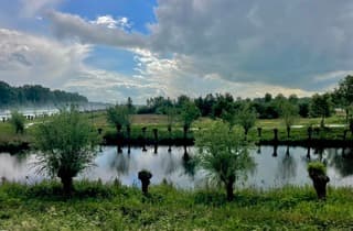 Links zie je het regenwater van de A2 dat door de auto’s wordt verstuifd