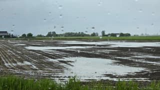 natte boel 