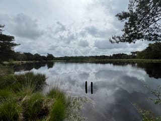 De zon doet haar best…