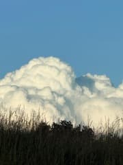 Bloemkool wolk (cumuluswolken)