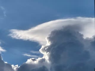 Pileuskapje op een wolkentop