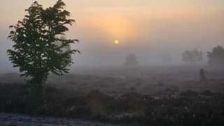 Zonsopkomst