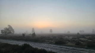 Voor zonsopkomst