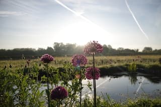 Zonsopkomst