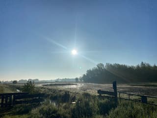 Met tegenlicht
