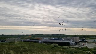 Laatste opklaringen boven Texel 