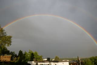 regenboog