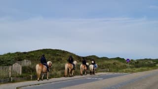 Toenemende bewolking voor deze ruiters!