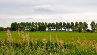 Grijze regenlucht.