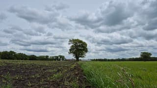 Wolken