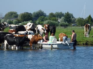 Kan dit echt de komende dagen?