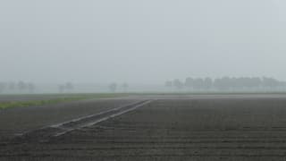 Flinke regenbui