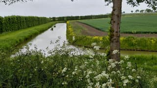 bewolkt weer in de polder