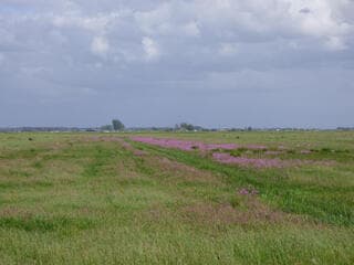 Zon. wolken en wind! 