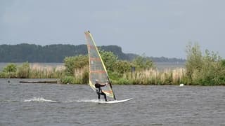 Windsurfer