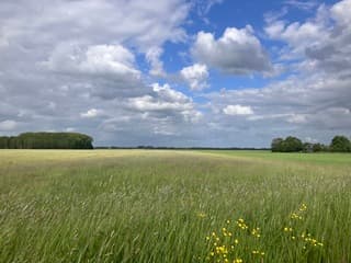 Weerfoto 