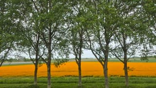 Bewolkte lucht 